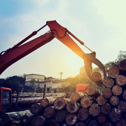 Forestry & landscaping